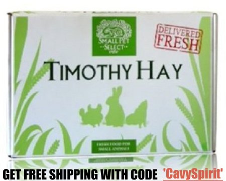 Small Pet Select Hay with Discount Coupon